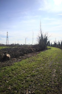 Topraklanmış bir tarlanın ve siperin yanında otlak yolu.
