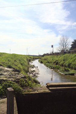 Güneşli bir günde tarlalarla çevrili siper