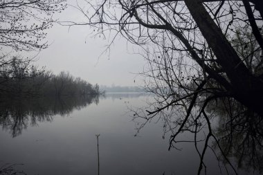 Nehir kışın parkta