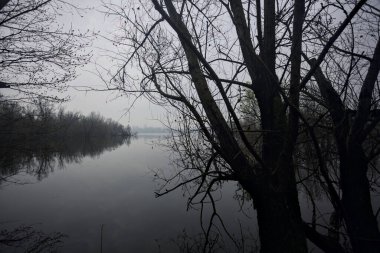 Nehir kışın parkta