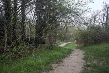 Parkın ortasındaki toprak yol.