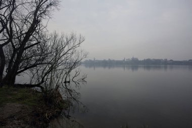 Sisli bir günde bir gölün kıyısında