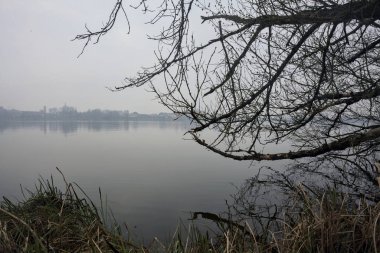 Sisli bir günde bir gölün kıyısında