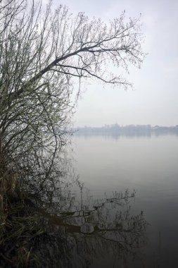 Sisli bir günde bir gölün kıyısında
