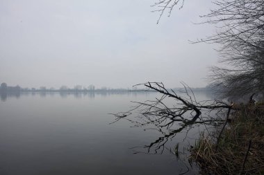 Sisli bir günde bir gölün kıyısında