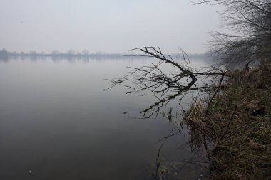 Sisli bir günde bir gölün kıyısında