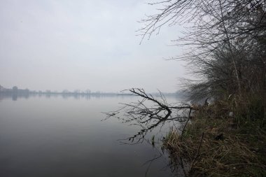 Sisli bir günde bir gölün kıyısında