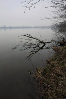 Sisli bir günde bir gölün kıyısında