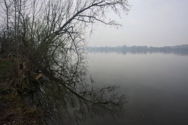 Sisli bir günde bir gölün kıyısında
