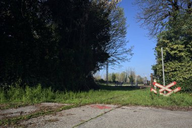 Tren yolu küçük bir koruluktan geçiyor.