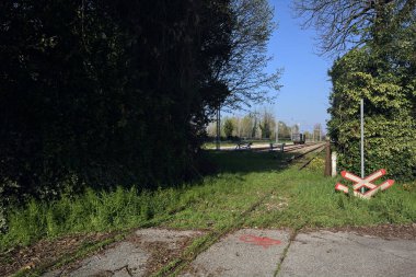 Tren yolu küçük bir koruluktan geçiyor.