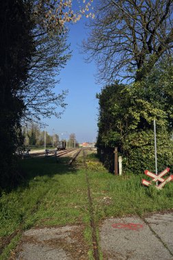 Tren yolu küçük bir koruluktan geçiyor.