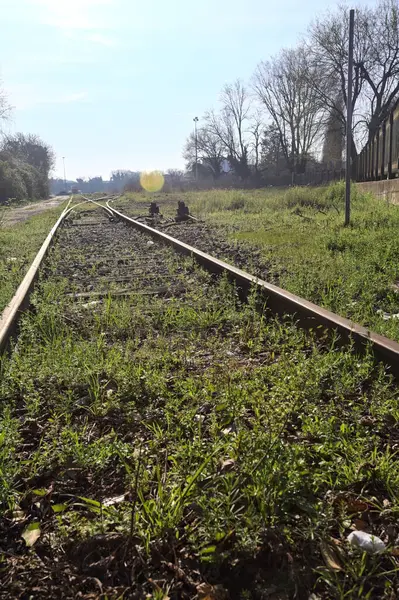 Terk edilmiş demiryolu rayları bir deponun yanında.