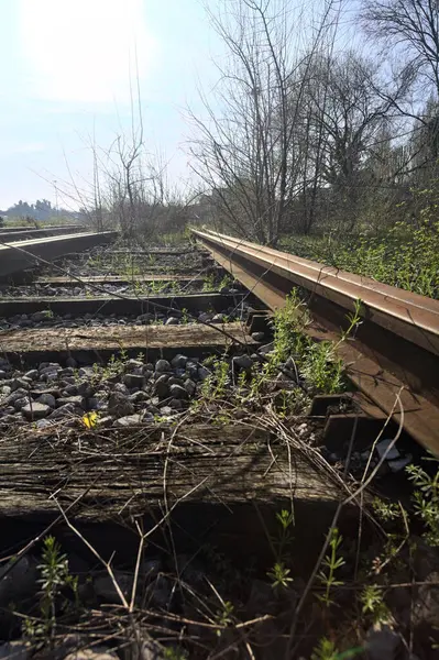 Terk Edilmiş Demiryolu Rayları Bir Deponun Yanında — Stok fotoğraf