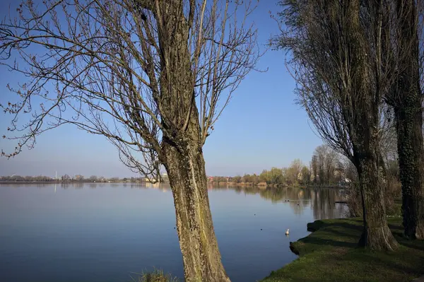 Gün batımında bir parkta nehir