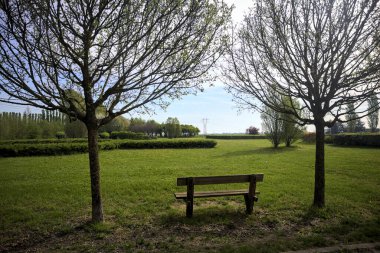 Ağaçların altında yolun kenarında ahşap bir bank.
