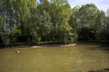 Güneşli bir günde parkta gölet