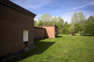 Parktaki siperlerle çevrili bir yol