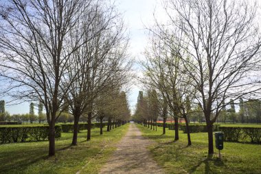 Ağaçlarla çevrili çakıl yolu