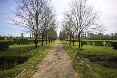 Ağaçlarla çevrili çakıl yolu