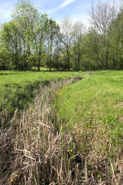 Tarlanın ortasında bitkilerle dolu bir siper.