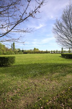 Güneşli bir günde bir parkta çimenlik