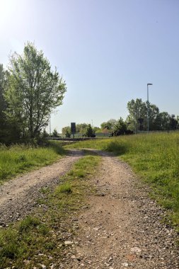 Güneşli bir günde İtalya 'nın kırsal kesiminde toprak yol