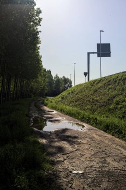 Güneşli bir günde İtalya 'nın kırsal kesiminde toprak yol