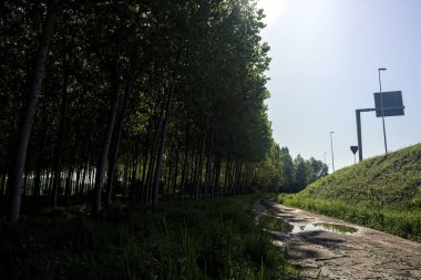 Güneşli bir günde İtalya 'nın kırsal kesiminde toprak yol