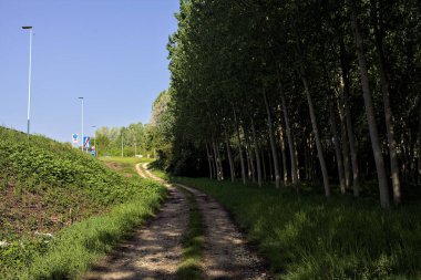 Güneşli bir günde İtalya 'nın kırsal kesiminde toprak yol