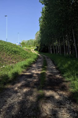 Güneşli bir günde İtalya 'nın kırsal kesiminde toprak yol