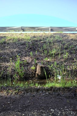 Bir otoyol seti üzerinde kütük
