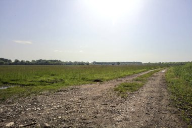 Güneşli bir günde tarlanın yanındaki toprak yol.