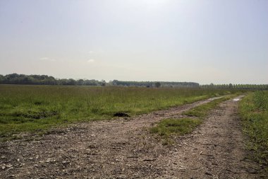 Güneşli bir günde tarlanın yanındaki toprak yol.