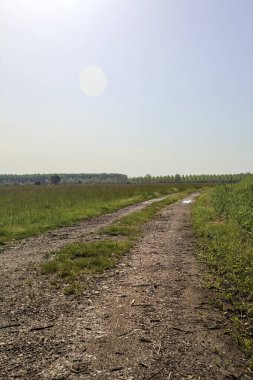 Güneşli bir günde tarlanın yanındaki toprak yol.