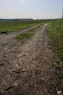 Güneşli bir günde tarlanın yanındaki toprak yol.