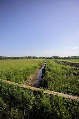 Tarlaların ortasında su olan siper