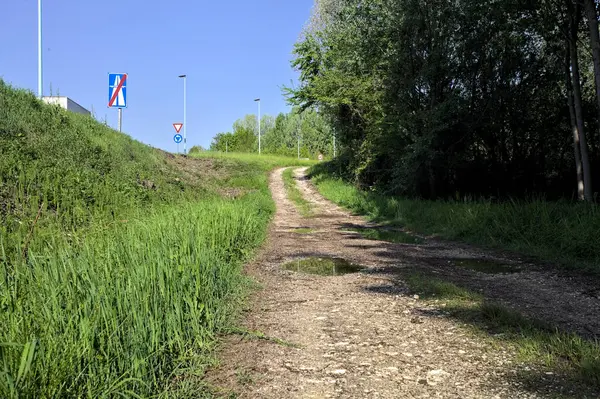 Güneşli bir günde İtalya 'nın kırsal kesiminde toprak yol