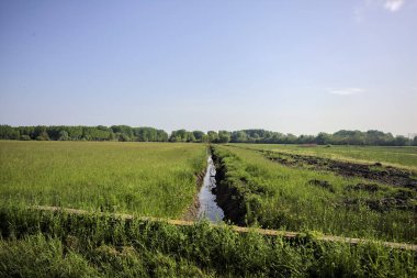 Tarlaların ortasında su olan siper