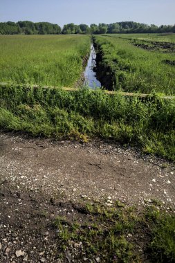 Tarlaların ortasında su olan siper