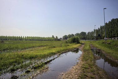 İtalya kırsalında bir otoyolun yanındaki toprak yol.