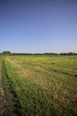 İtalya kırsalında bir otoyolun yanındaki toprak yol.