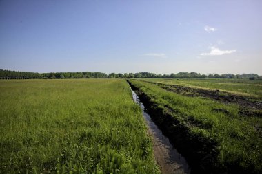 Tarlaların ortasında su olan siper