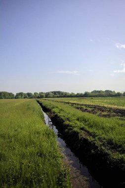 Tarlaların ortasında su olan siper