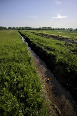 Tarlaların ortasında su olan siper