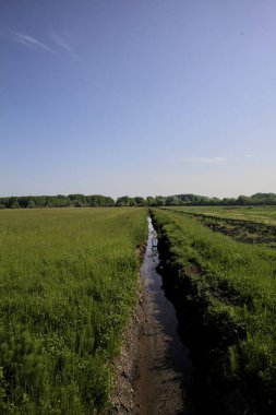 Tarlaların ortasında su olan siper