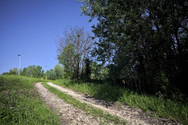 Güneşli bir günde İtalya 'nın kırsal kesiminde toprak yol