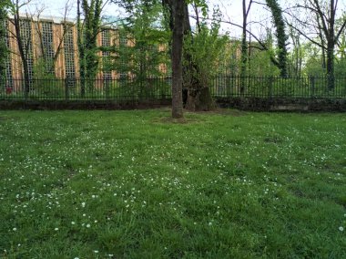 Parkın yanındaki sanayi binası.