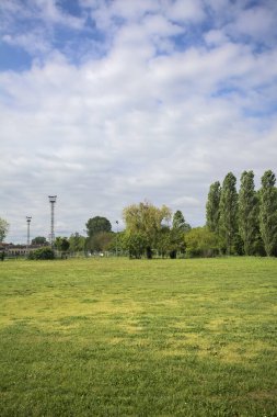İtalya kırsalında bir parkın yanında kır çiçekleri olan bir tarla.