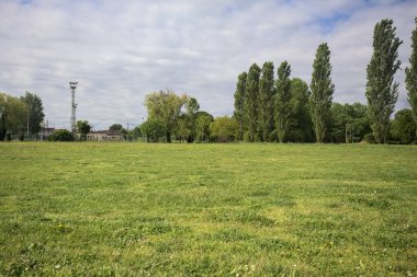 İtalya kırsalında bir parkın yanında kır çiçekleri olan bir tarla.